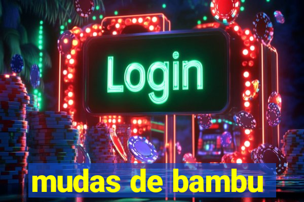 mudas de bambu